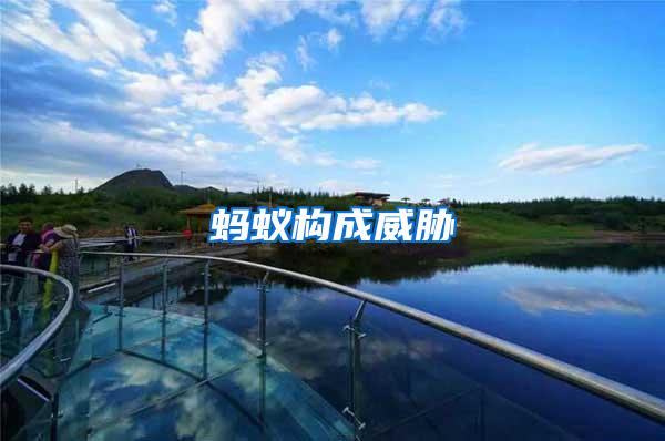 螞蟻構(gòu)成威脅