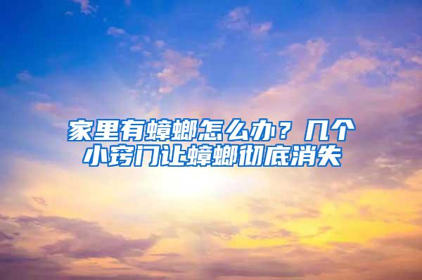 家里有蟑螂怎么辦？幾個(gè)小竅門(mén)讓蟑螂徹底消失