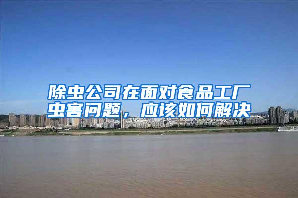 除蟲公司在面對(duì)食品工廠蟲害問題，應(yīng)該如何解決