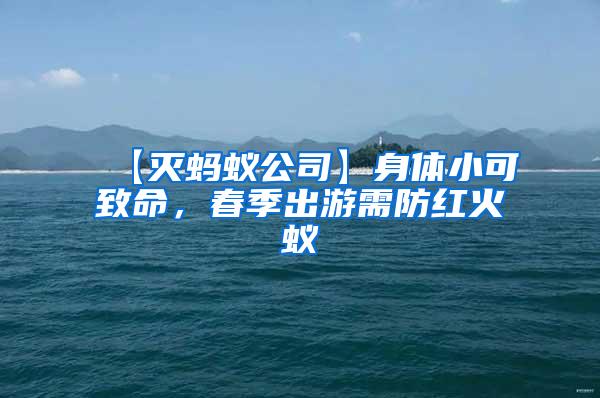 【滅螞蟻公司】身體小可致命，春季出游需防紅火蟻