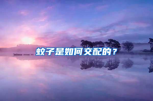 蚊子是如何交配的？