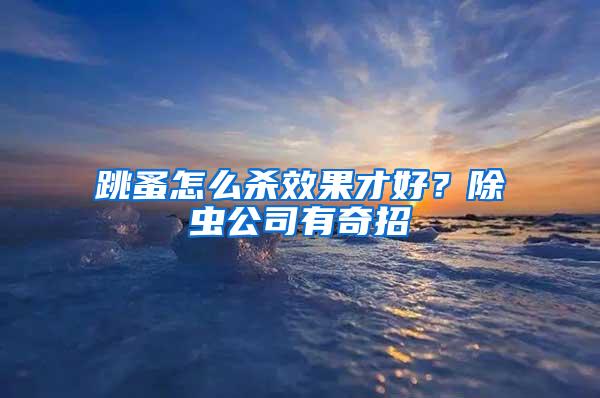 跳蚤怎么殺效果才好？除蟲(chóng)公司有奇招