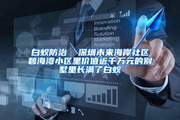 白蟻防治  深圳未來海岸社區(qū)碧海灣小區(qū)里價值近千萬元的別墅里長滿了白蟻