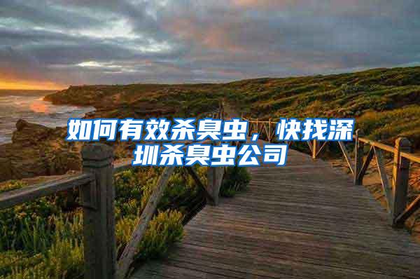 如何有效殺臭蟲(chóng),快找深圳殺臭蟲(chóng)公司