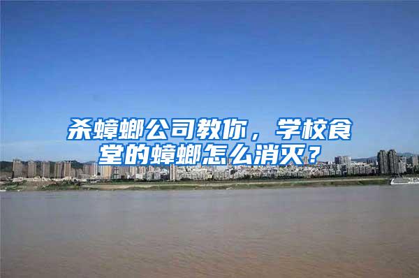 殺蟑螂公司教你，學(xué)校食堂的蟑螂怎么消滅？