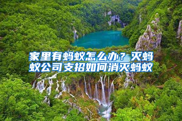 家里有螞蟻怎么辦？滅螞蟻公司支招如何消滅螞蟻