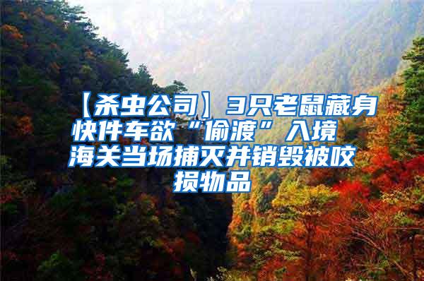 【殺蟲公司】3只老鼠藏身快件車欲“偷渡”入境 海關(guān)當場捕滅并銷毀被咬損物品