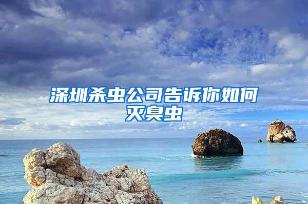 深圳殺蟲(chóng)公司告訴你如何滅臭蟲(chóng)