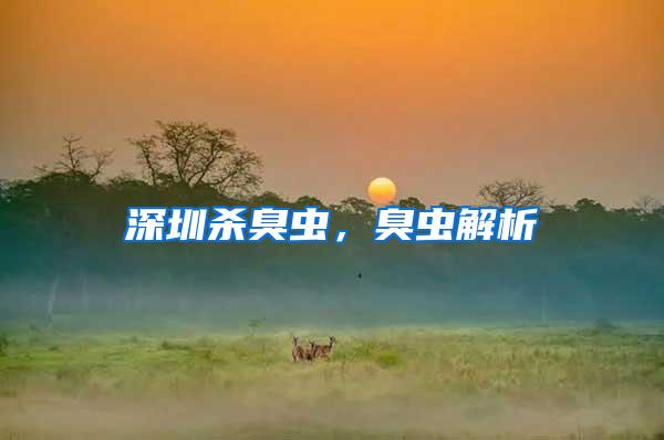 深圳殺臭蟲，臭蟲解析