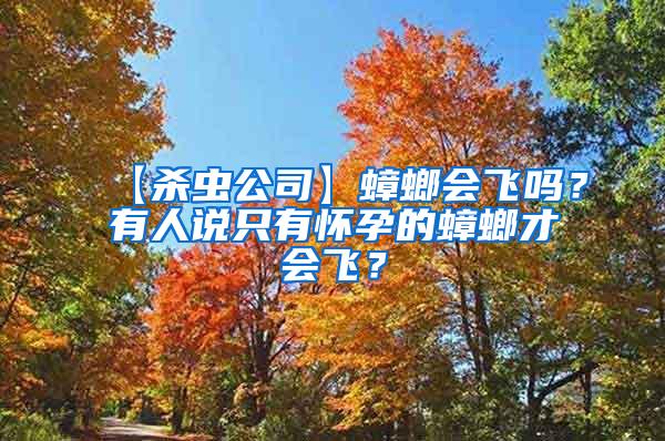【殺蟲公司】蟑螂會(huì)飛嗎？有人說只有懷孕的蟑螂才會(huì)飛？