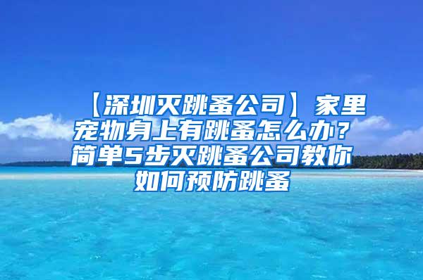 【深圳滅跳蚤公司】家里寵物身上有跳蚤怎么辦？簡(jiǎn)單5步滅跳蚤公司教你如何預(yù)防跳蚤