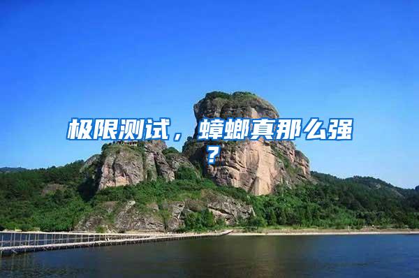 極限測(cè)試，蟑螂真那么強(qiáng)？