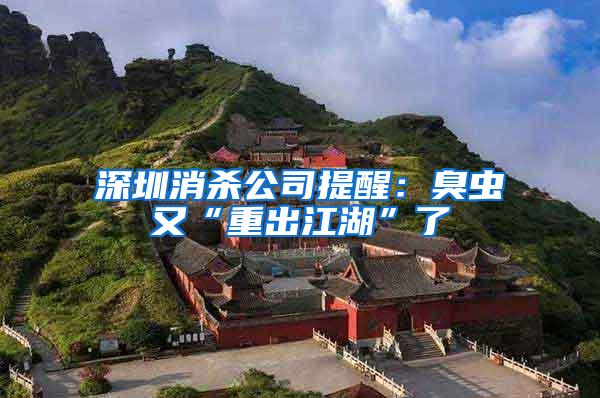 深圳消殺公司提醒:臭蟲又“重出江湖”了