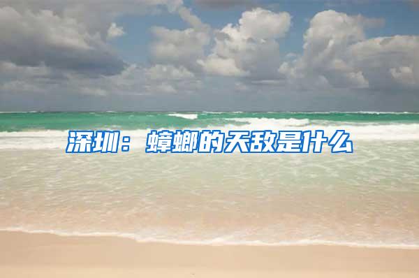 深圳:蟑螂的天敵是什么
