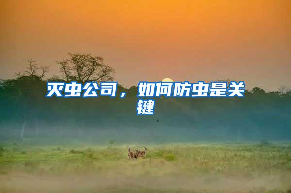 滅蟲(chóng)公司，如何防蟲(chóng)是關(guān)鍵