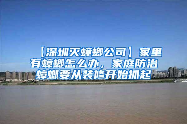 【深圳滅蟑螂公司】家里有蟑螂怎么辦，家庭防治蟑螂要從裝修開始抓起