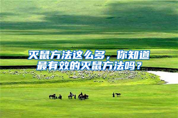 滅鼠方法這么多，你知道最有效的滅鼠方法嗎？