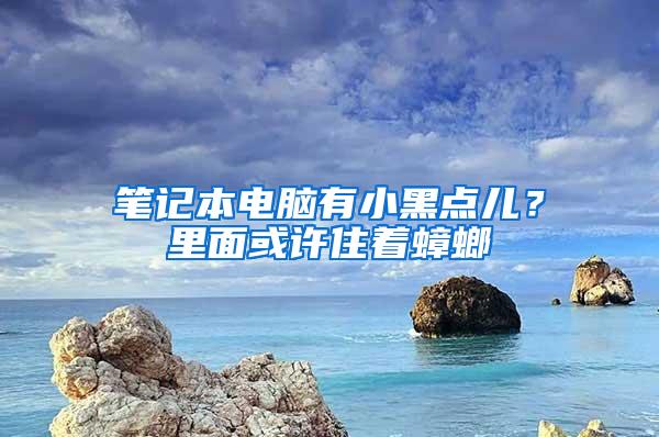 筆記本電腦有小黑點(diǎn)兒？里面或許住著蟑螂