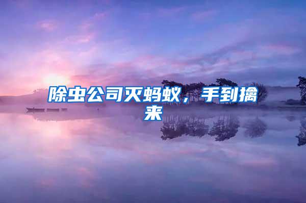 除蟲公司滅螞蟻，手到擒來