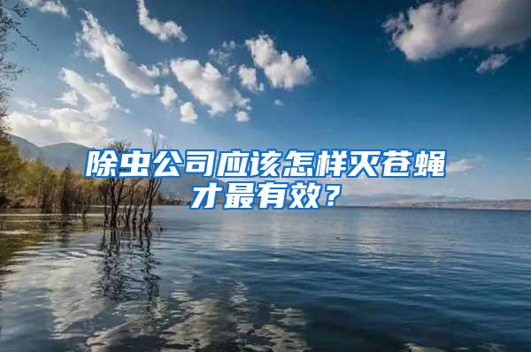 除蟲公司應該怎樣滅蒼蠅才最有效？