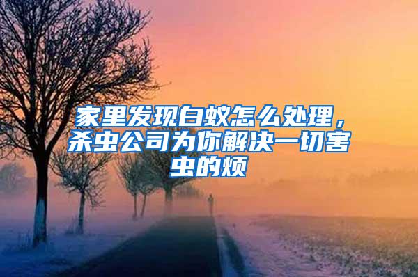家里發(fā)現(xiàn)白蟻怎么處理，殺蟲(chóng)公司為你解決一切害蟲(chóng)的煩