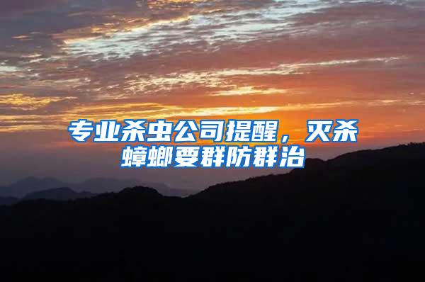 專業(yè)殺蟲公司提醒，滅殺蟑螂要群防群治