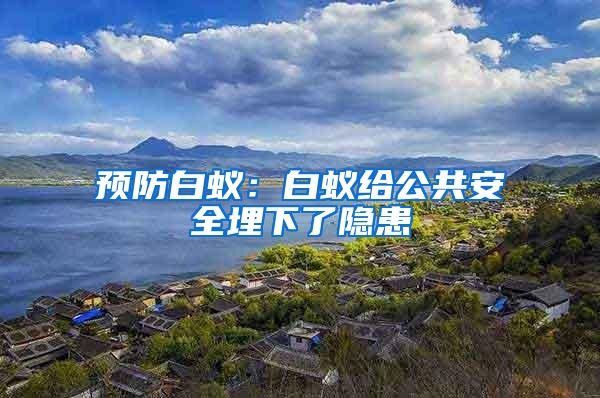 預(yù)防白蟻:白蟻給公共安全埋下了隱患