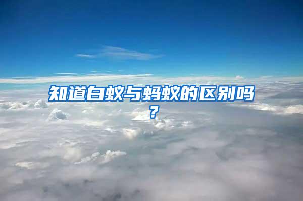 知道白蟻與螞蟻的區(qū)別嗎？