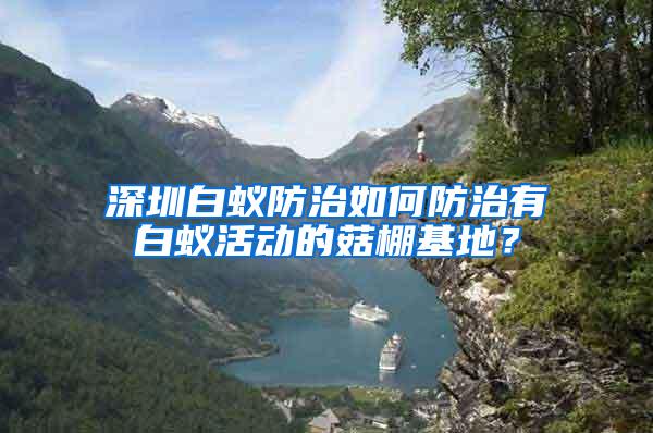 深圳白蟻防治如何防治有白蟻活動的菇棚基地？