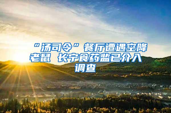 “湯司令”餐廳遭遇空降老鼠 長寧食藥監(jiān)已介入調(diào)查