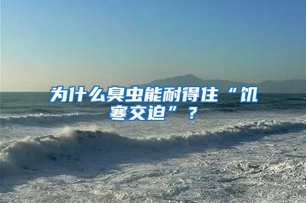 為什么臭蟲能耐得住“饑寒交迫”？