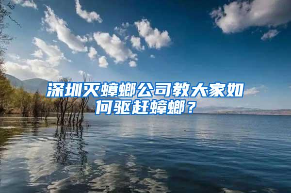 深圳滅蟑螂公司教大家如何驅(qū)趕蟑螂？