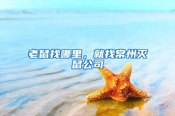 老鼠找哪里,就找常州滅鼠公司