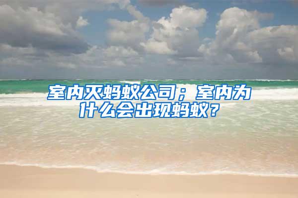 室內(nèi)滅螞蟻公司；室內(nèi)為什么會(huì)出現(xiàn)螞蟻？