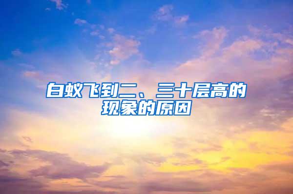 白蟻飛到二、三十層高的現(xiàn)象的原因