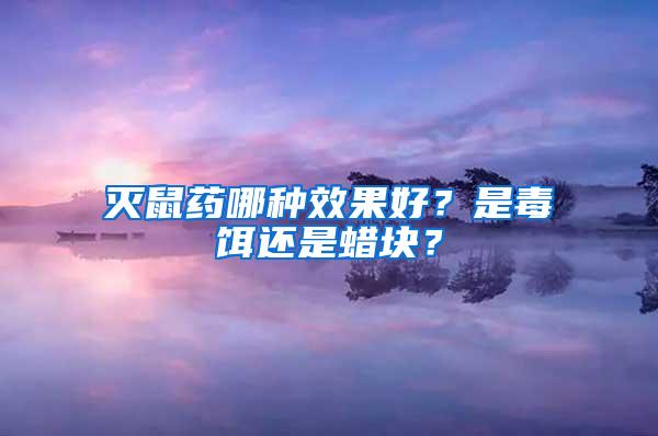 滅鼠藥哪種效果好？是毒餌還是蠟塊？