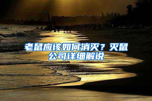 老鼠應(yīng)該如何消滅？滅鼠公司詳細解說