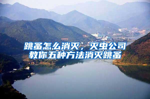 跳蚤怎么消滅，滅蟲(chóng)公司教你五種方法消滅跳蚤