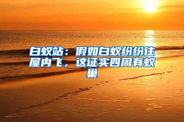 白蟻站：假如白蟻紛紛往屋內(nèi)飛，這證實四周有蟻巢