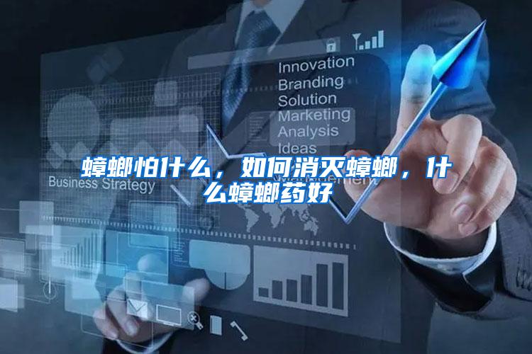 蟑螂怕什么，如何消滅蟑螂，什么蟑螂藥好