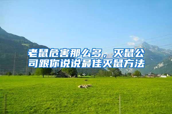 老鼠危害那么多，滅鼠公司跟你說說最佳滅鼠方法