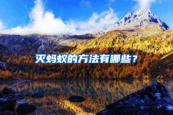 滅螞蟻的方法有哪些?