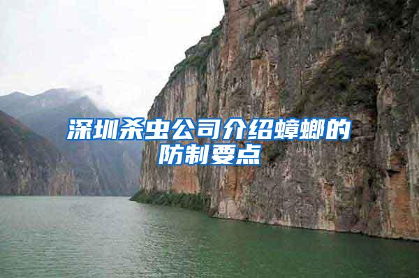 深圳殺蟲(chóng)公司介紹蟑螂的防制要點(diǎn)