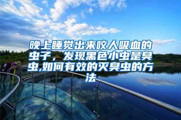 晚上睡覺出來咬人吸血的蟲子,發(fā)現(xiàn)黑色小蟲是臭蟲,如何有效的滅臭蟲的方法