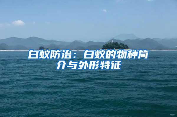 白蟻防治:白蟻的物種簡介與外形特征