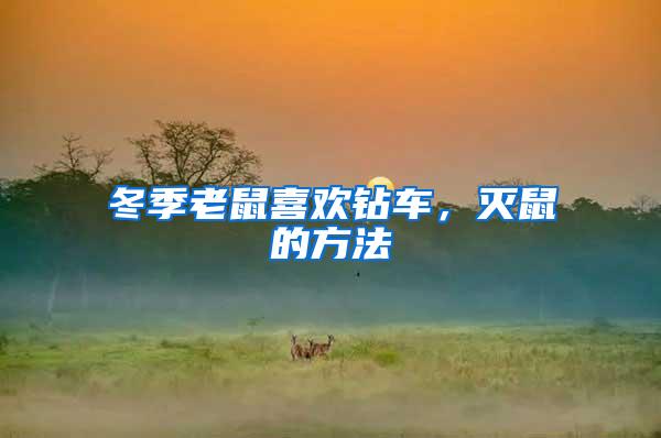 冬季老鼠喜歡鉆車，滅鼠的方法