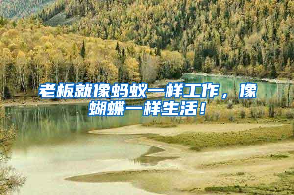 老板就像螞蟻一樣工作，像蝴蝶一樣生活！