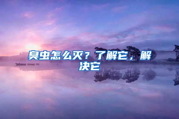 臭蟲怎么滅？了解它，解決它
