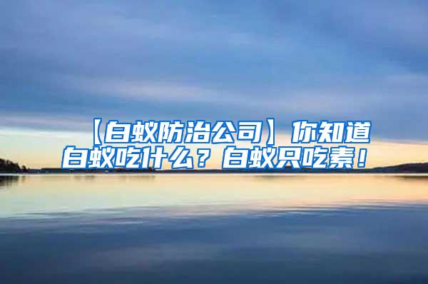 【白蟻防治公司】你知道白蟻吃什么？白蟻只吃素！