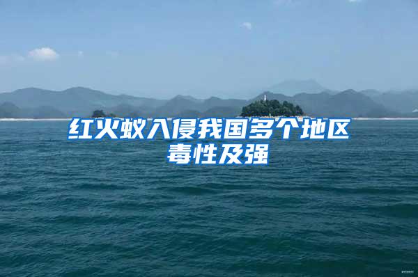 紅火蟻入侵我國(guó)多個(gè)地區(qū) 毒性及強(qiáng)